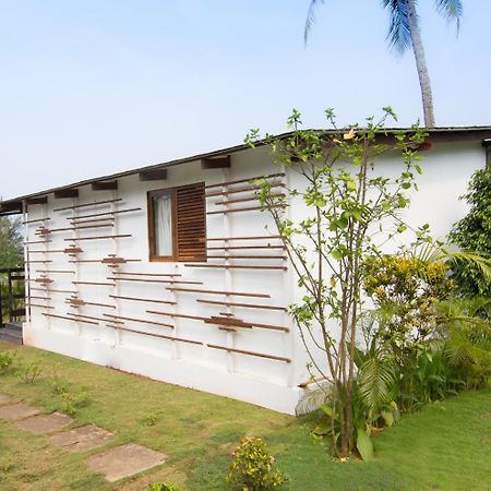 Casa Cubo By The Beach Bed & Breakfast กาลังกูติ ภายนอก รูปภาพ