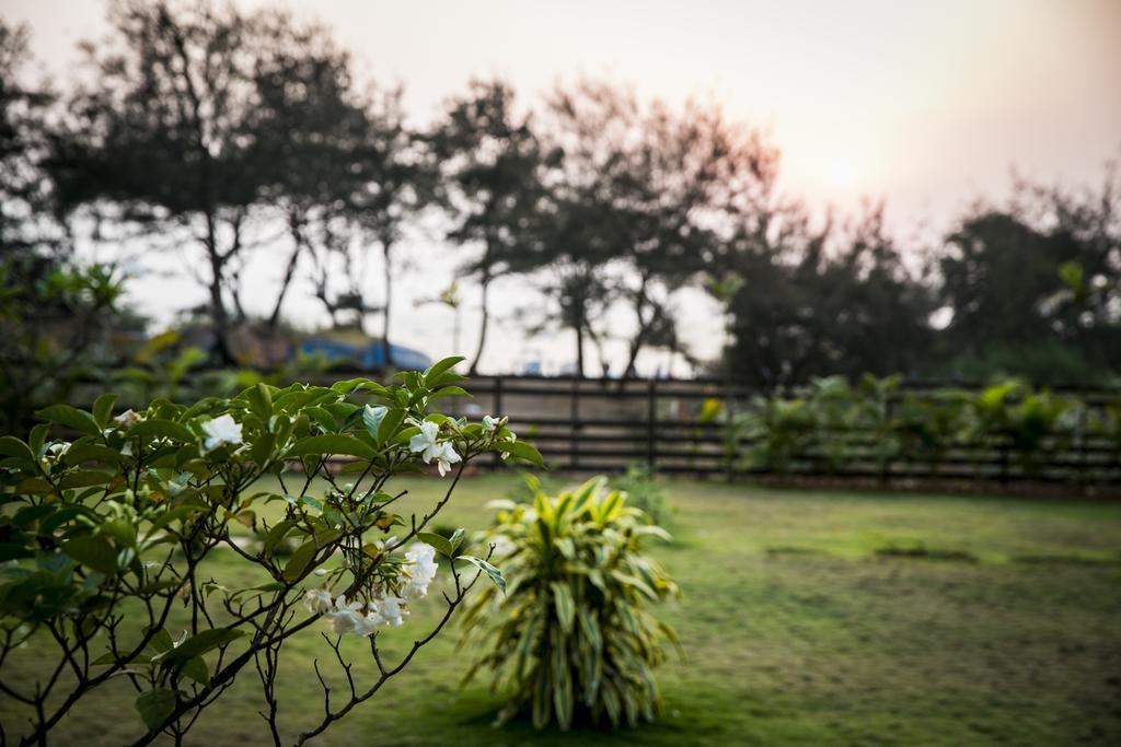 Casa Cubo By The Beach Bed & Breakfast กาลังกูติ ภายนอก รูปภาพ