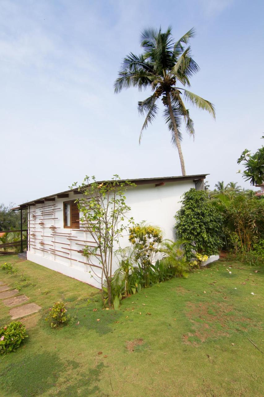 Casa Cubo By The Beach Bed & Breakfast กาลังกูติ ภายนอก รูปภาพ